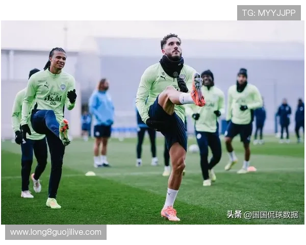 富勒姆足球俱乐部历史辉煌与未来展望：英超挑战与国际赛场之路